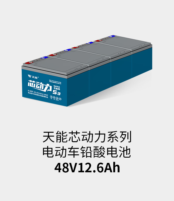云顶集团贵宾会电池48v12ah