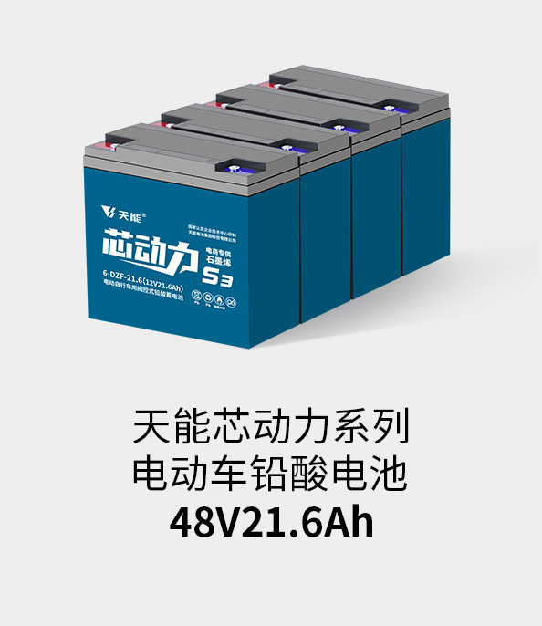 云顶集团贵宾会电池48v20ah