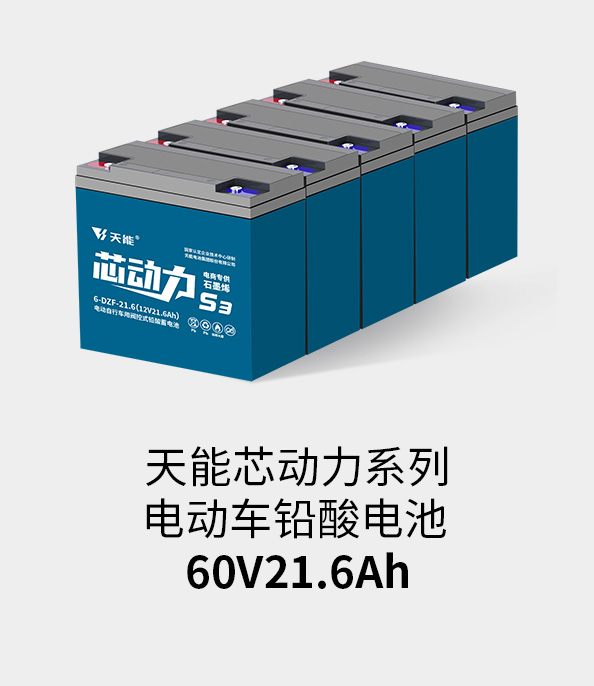 云顶集团贵宾会电池60v20ah