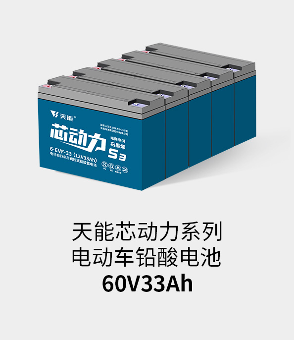云顶集团贵宾会电池60v33ah