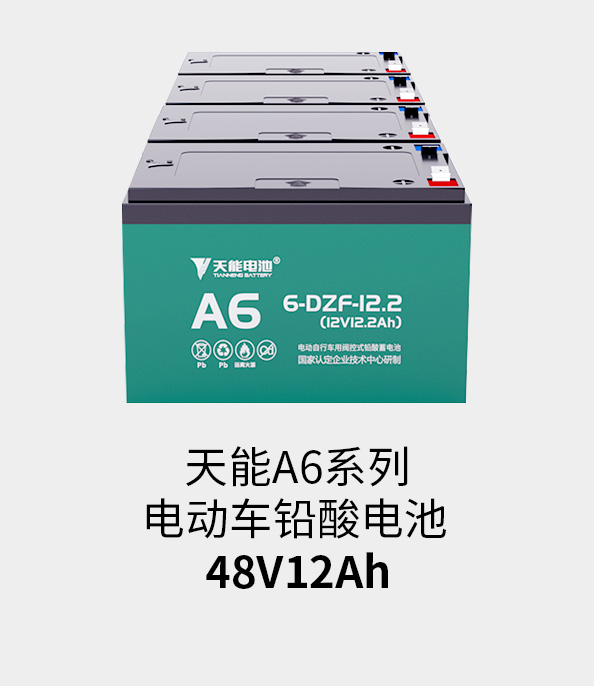 云顶集团贵宾会电池48v12ah