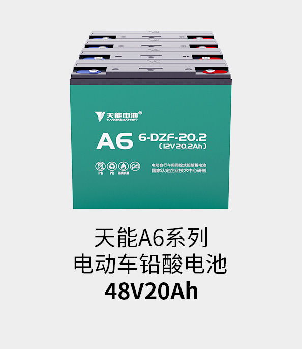 云顶集团贵宾会电池48v20ah