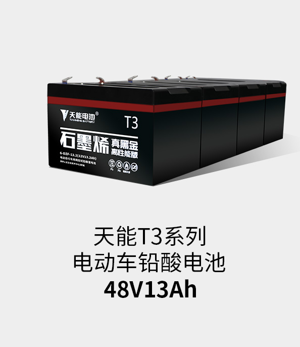 云顶集团贵宾会T3系列48v13ah