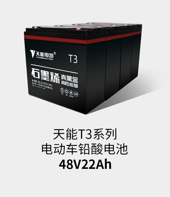 云顶集团贵宾会T3系列48v22ah