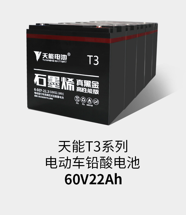 云顶集团贵宾会T3系列60v22ah