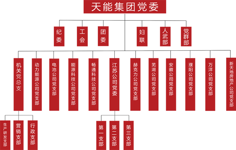 云顶集团贵宾会建团党委组织架构