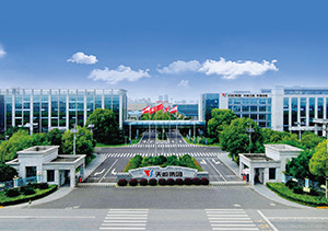 云顶集团贵宾会股份介绍